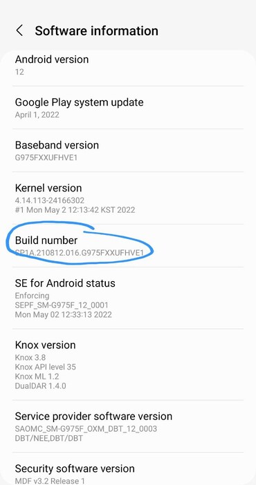 Developer options menu on Android - how to access